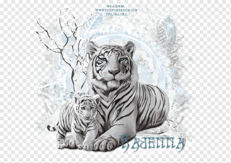 Белый Тигр Кот Усы Котенок, тигр, акварельная живопись, млекопитающее, животные png