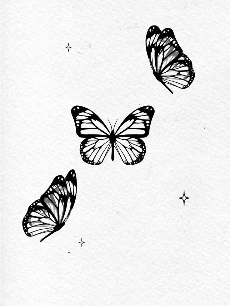 Эскиз бабочки