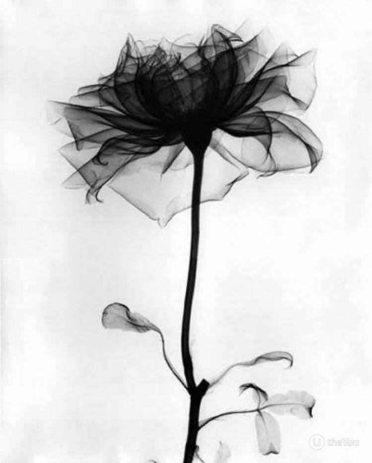 Эскиз тату в черно-белом цвете с изображением Цветы на сайте theYou