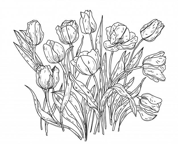 Цветы ручной рисунок и эскиз черно-белые