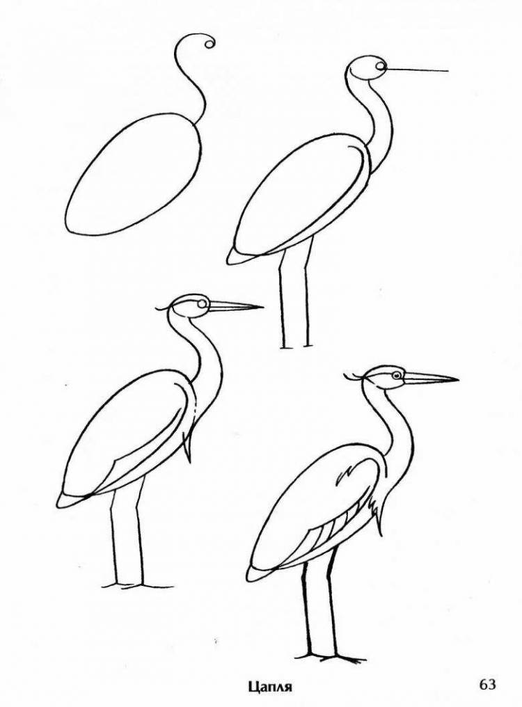 Как нарисовать журавля поэтапно карандашом? Инструкция для детей и начинающих, как раскрасить и правильно рисовать летящего журавля