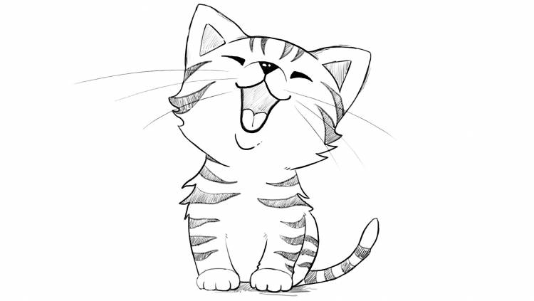 Рисунок карандашом для срисовки легкие кошки