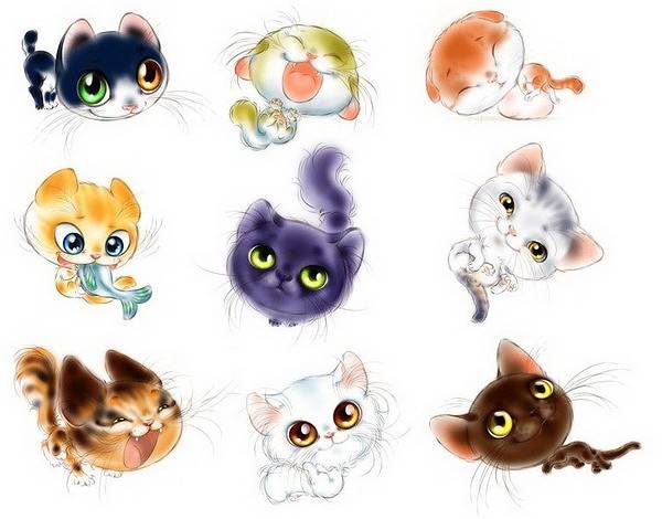 Рисунки котиков милых и няшных для срисовки 