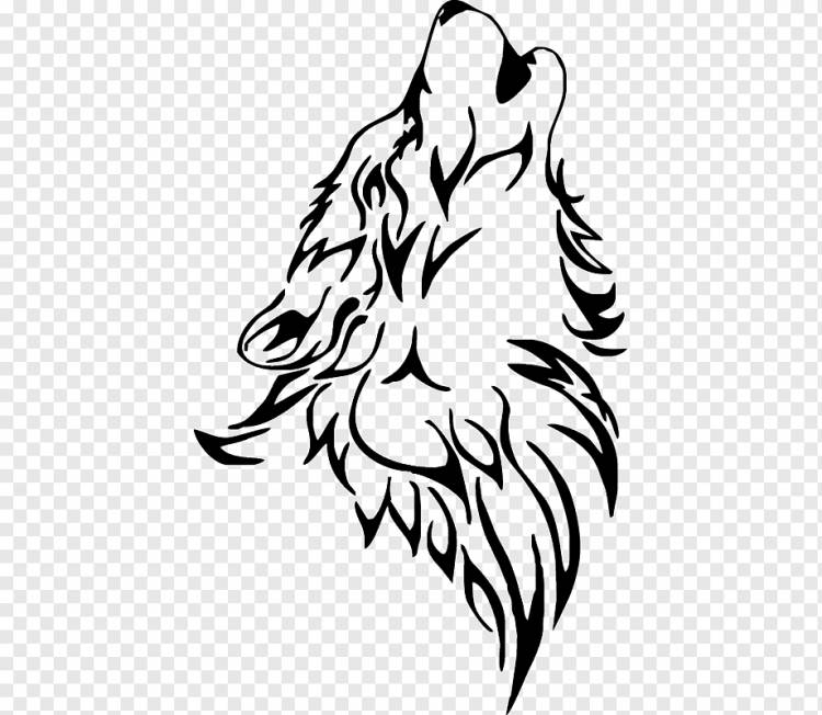 Серый волк Рисунок, дизайн, белый, лист, рука png