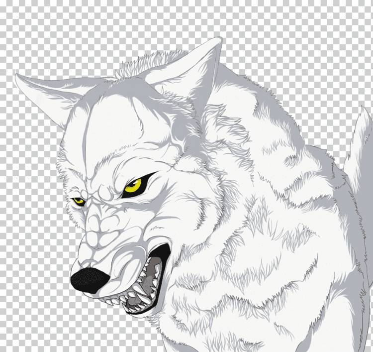 Эскиз рисунка усиков арктического волка, рисунки простого волка, млекопитающее, карандаш, кошка png