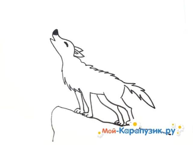 Как нарисовать волка воющего на луну простым карандашом