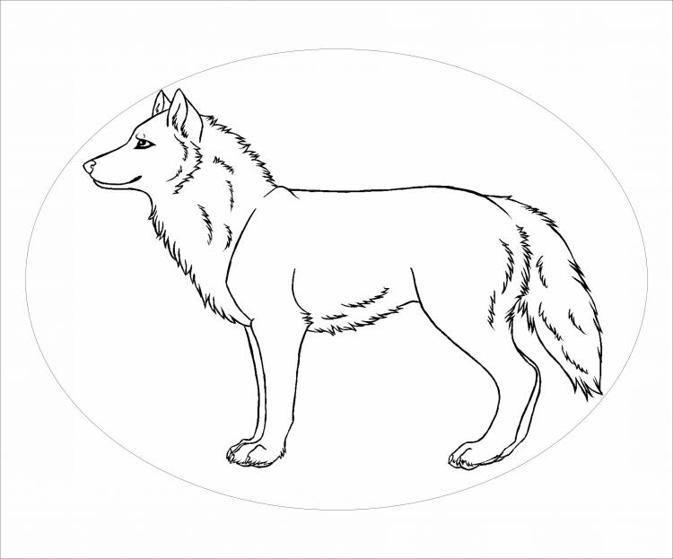 Красный волк рисунок карандашом
