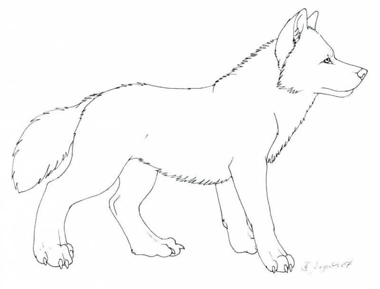 Волк детский рисунок легкий 