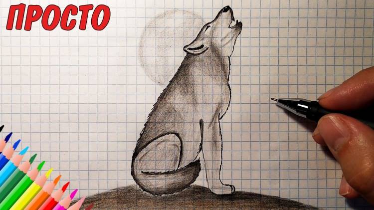 How to draw a WOLF (Full HD) Drawings for children