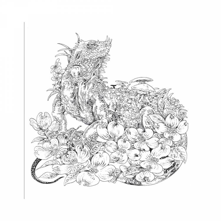 КР Раскраска-скетчбук Мир поразительных существ Кэна Мацуды серии Ты-художник Белая с кроликом