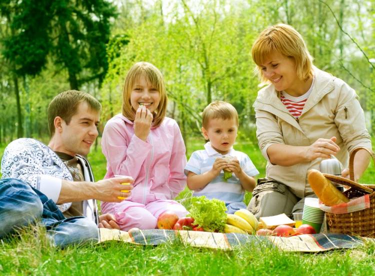 Картинки семейный отдых на природе 