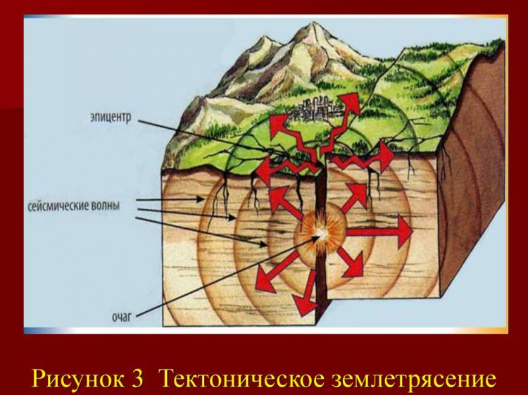 Сейсмологиия