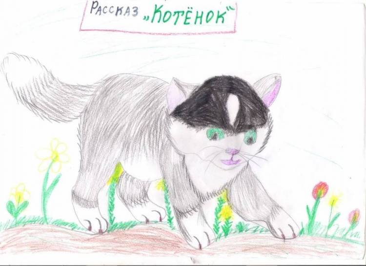 Детский рисунок к рассказу котенок толстого 