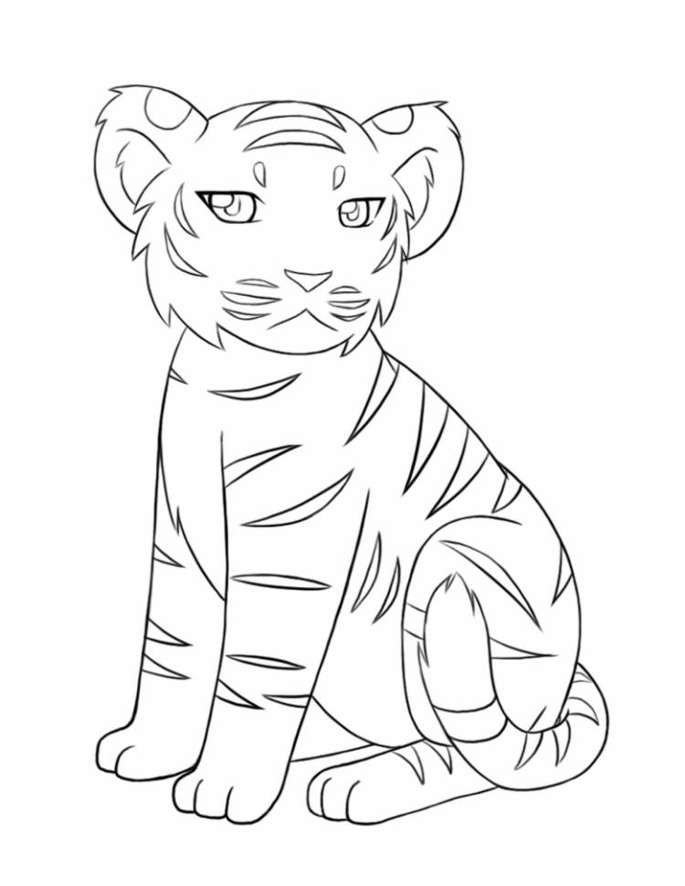 Как нарисовать тигра поэтапно карандашом 