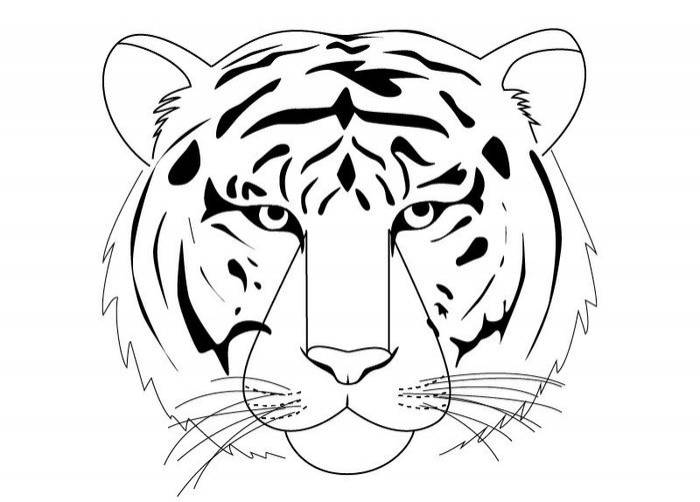 Картинки тигров для срисовки карандашом
