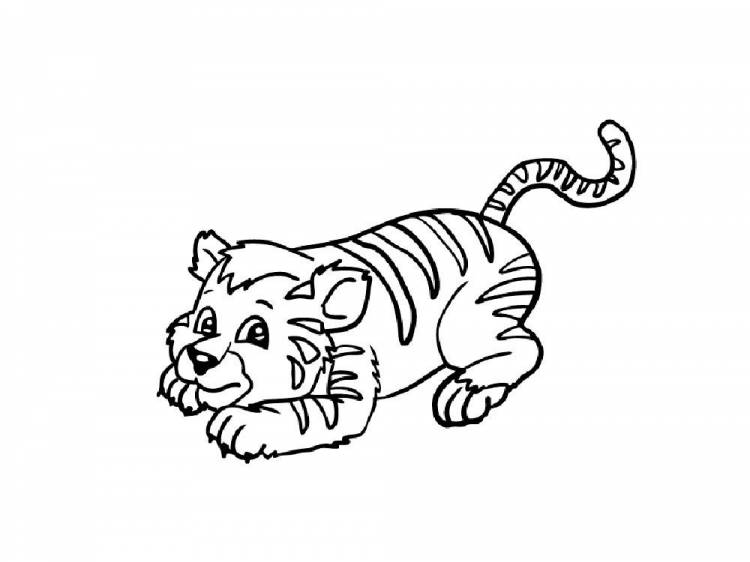 Раскраска Тигры, Тигрята, Коты на Новый год