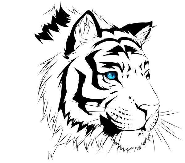 Рисунки тигра для срисовки 