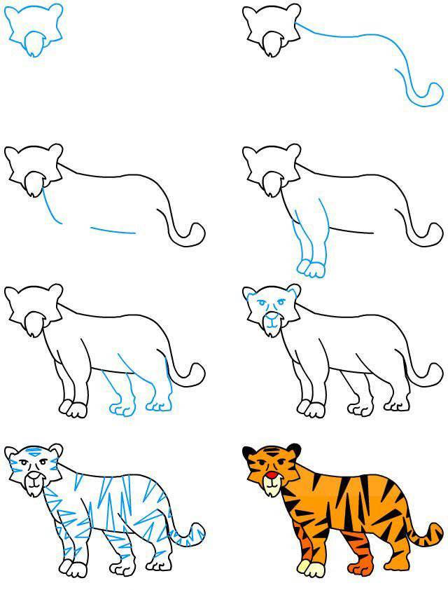 Как рисовать Тигра