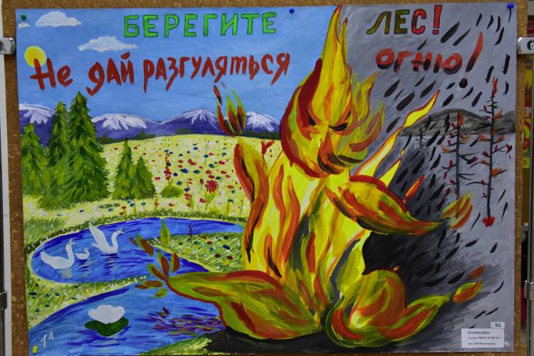 Итоги конкурса детского творчества «Сохраним лес от пожаров» подвели на Камчатке
