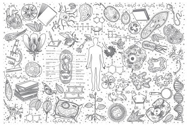 Рисунки на тему биология