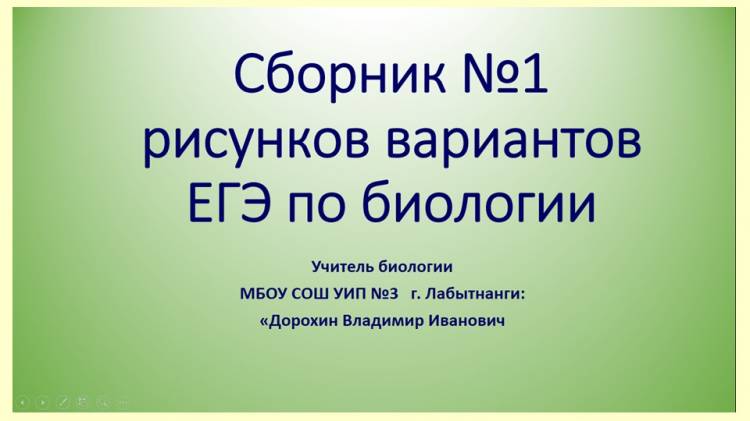 Презентация по биологии на тему