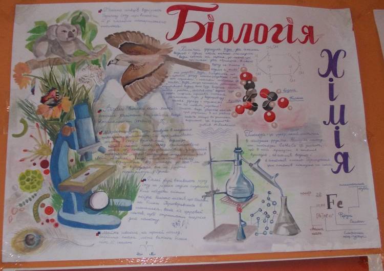Плакат по биологии 