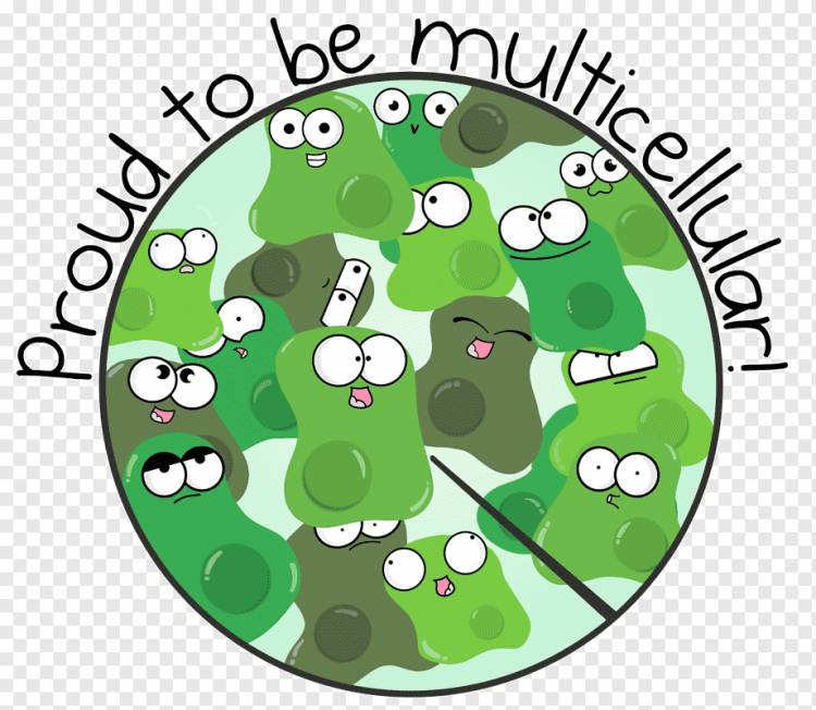 Мультфильм амеба многоклеточный организм рисунок, организм, комиксы, лист, биология png