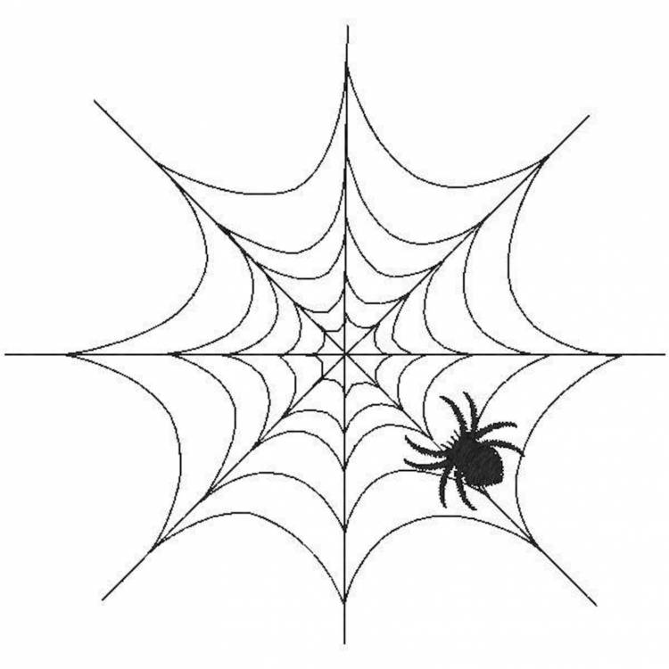 Паук на паутине рисунок карандашом
