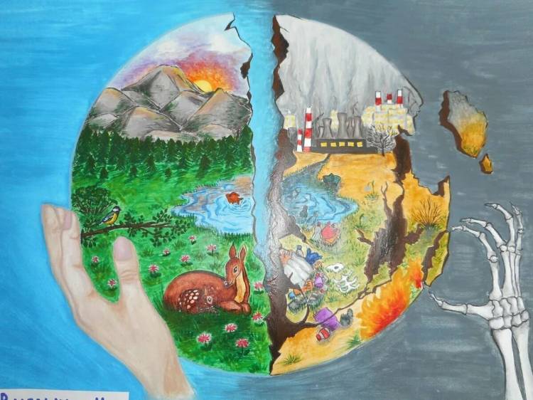 Картинки на тему экологии