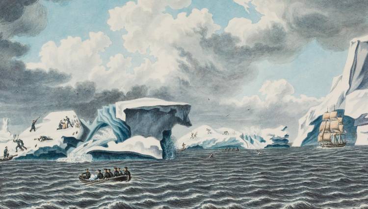 В Государственном историческом музее началась выставка о Русской Антарктиде