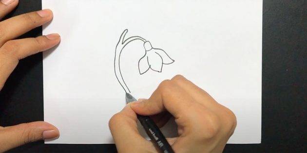 Как нарисовать подснежники