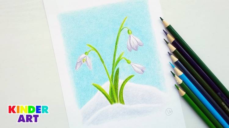How to draw snowdrops with colored pencils