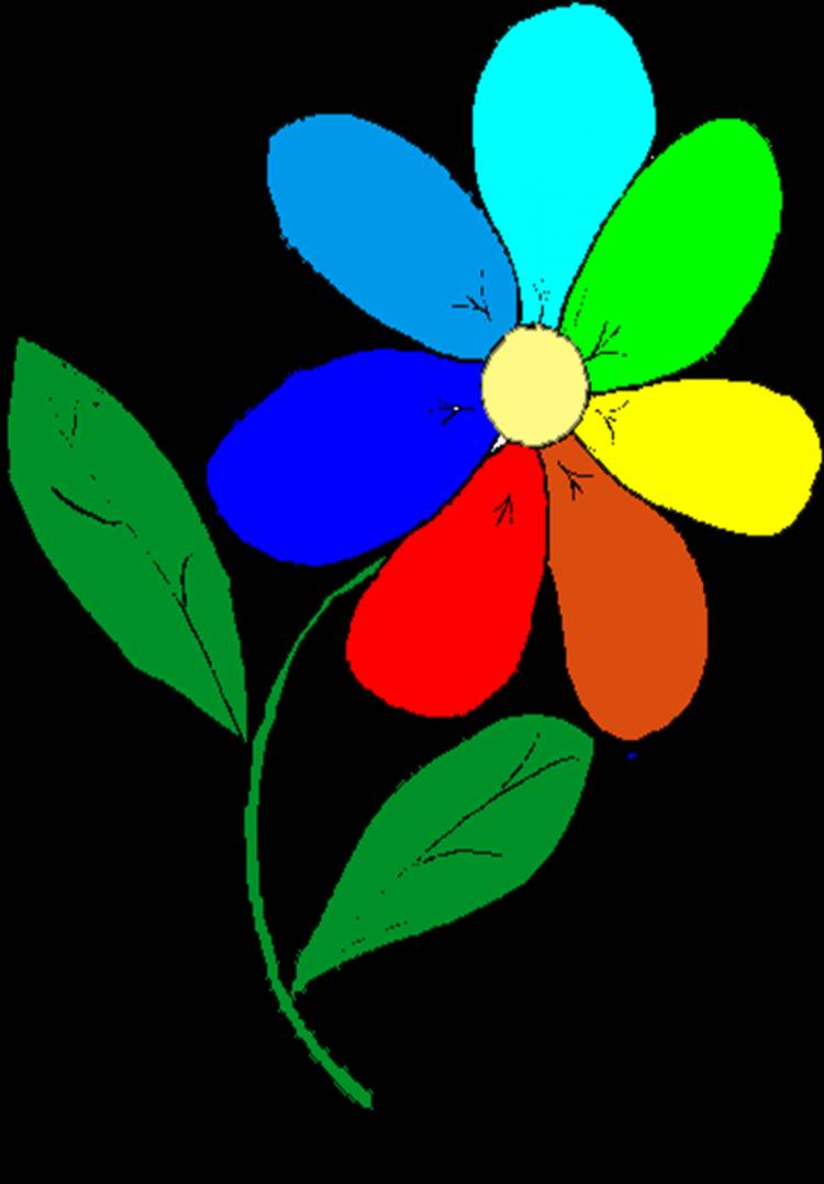 Цветик семицветик на прозрачном фоне