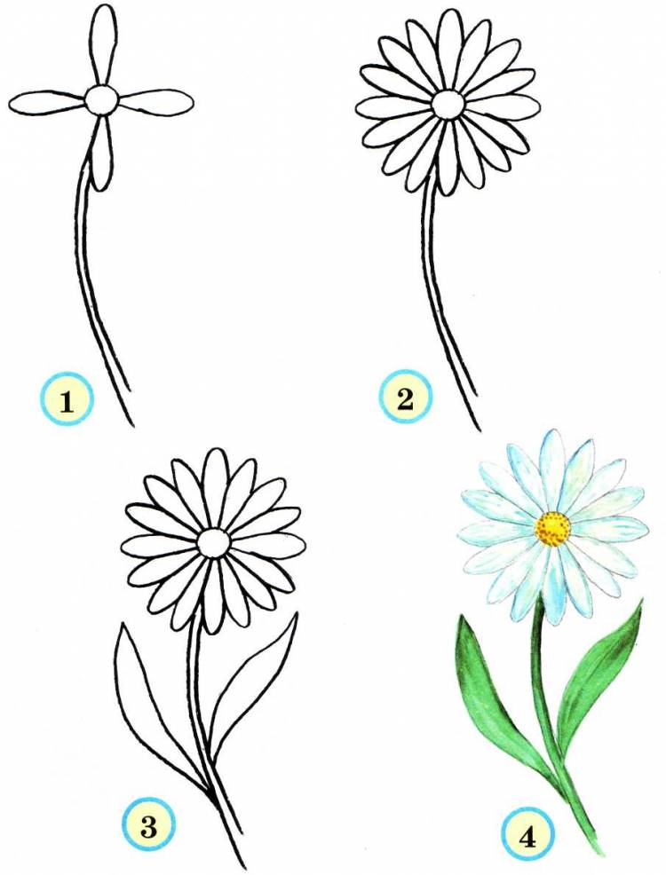 Рисунки Цветик семицветик карандашом 
