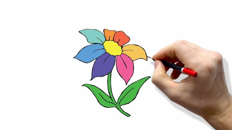 Master Drawing flower with This Easy Pencil Tutorial for Kids