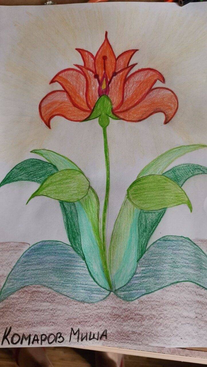 Как нарисовать сказку аленький цветочек