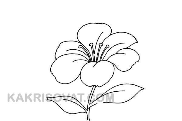 Поэтапные рисунки чудовища и цветка к сказке Аленький цветочек простым карандашом