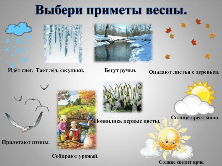 Картинки признаки весны для детей