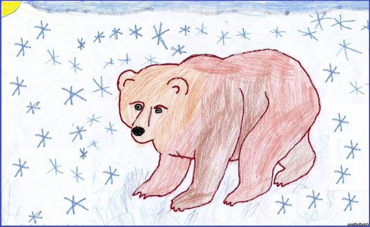 Рисунок медведя в садик