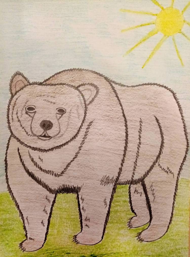 Дремучий медведь рисунок карандашом