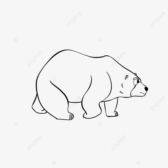черно белый мультфильм детский рисунок медведь PNG , медведь черный или белый, Черное и белое, отслеживание PNG картинки и пнг PSD рисунок для бесплатной загрузки