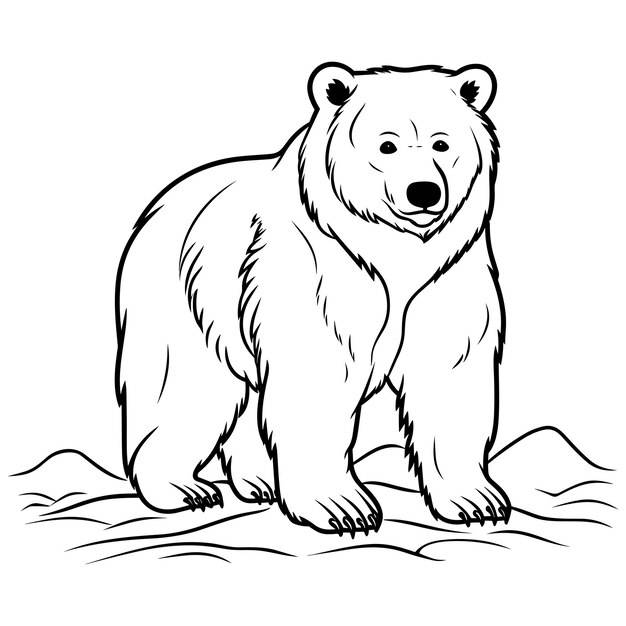 Раскраска медведь для детей