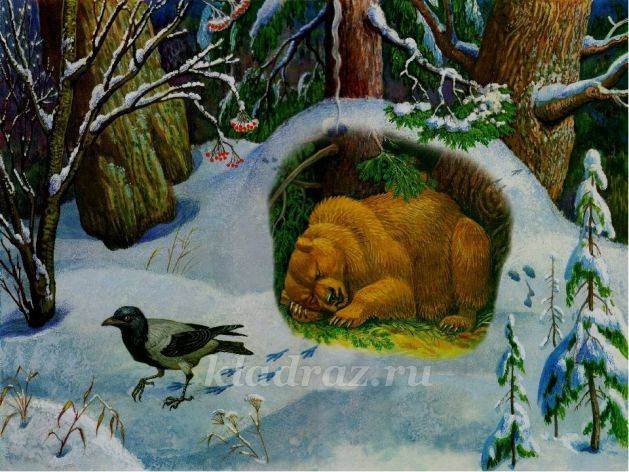 Рисование «Медведь в берлоге» с детьми