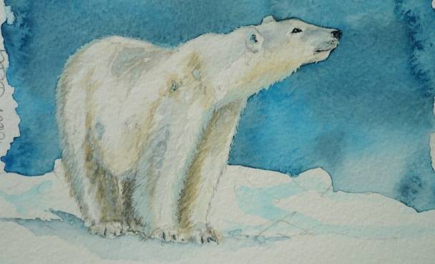 В Челябинской области объявили конкурс на лучший рисунок медведя