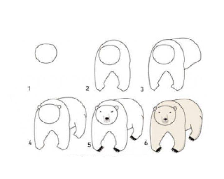 Рисуем Белого медведя поэтапно для детей