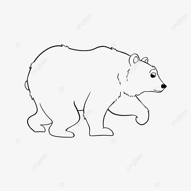 медведь клипарт черно белый PNG , медведь черный или белый, Черное и белое, отслеживание PNG картинки и пнг PSD рисунок для бесплатной загрузки