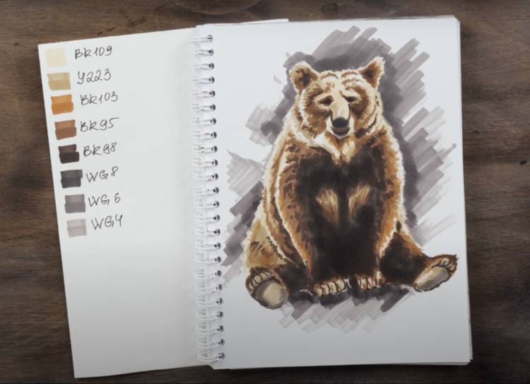 Как нарисовать медведя для начинающих