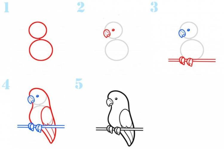 Попугай Срисовки Легкие Пошаговые 