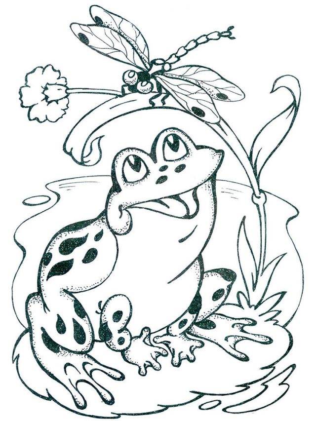Рисунки к сказке Лягушка путешественница карандашом 