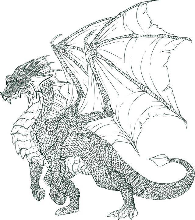 Рисунки дракона карандашом поэтапно для начинающих 